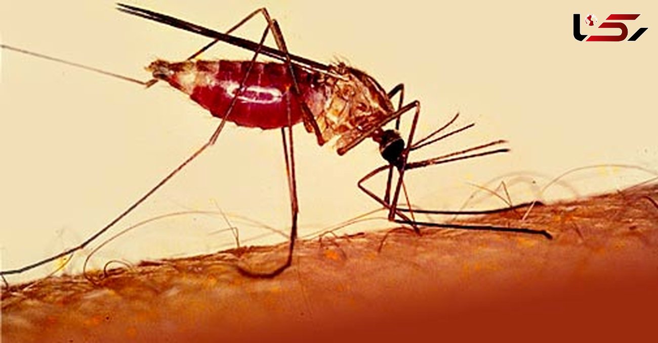 تانزانیا برای پیشگیری از گسترش مالاریا از پهپاد استفاده می کند