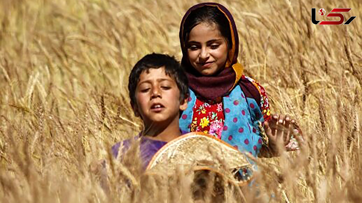 درخشش مستند ایرانی در یونان 