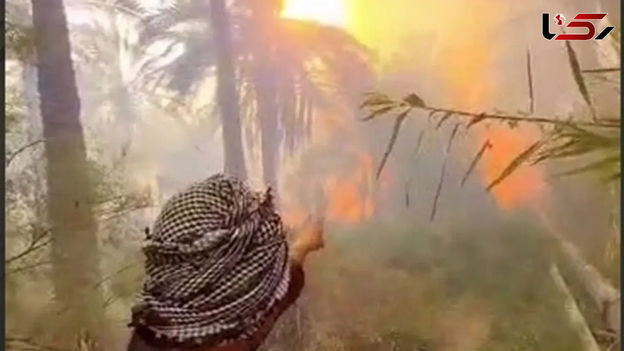  استاندار خوزستان بعد از فاجعه آمد؛ هزاران نخل سوختند، مردم ماندند با خاکستر و وعده + فیلم