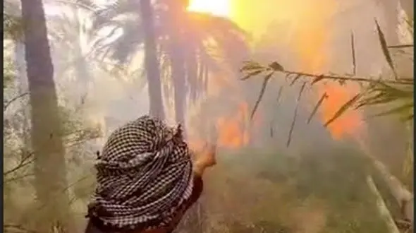 هزاران نخل‌ در خوزستان سوختند/ سخنگوی صنعت آب: مصرف بی‌رویه و پروژه‌های متوقف‌شده، تراز آبی خوزستان را بر هم زدند + فیلم