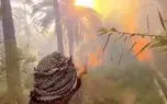 هزاران نخل‌ در خوزستان سوختند/ سخنگوی صنعت آب: مصرف بی‌رویه و پروژه‌های متوقف‌شده، تراز آبی خوزستان را بر هم زدند + فیلم
