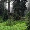 تو برای معمولی بودن ساخته نشدی