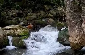 دو چهره از جاهای دیدنی ایران
