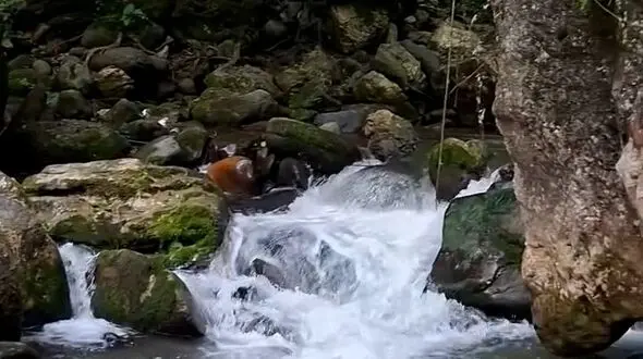 دو چهره از جاهای دیدنی ایران