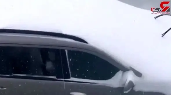 دفن شدن و یخ زدن ماشین ها در طوفان برفی + فیلم دیدنی