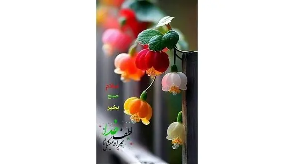 فال ابجد امروز 9 آذر + فیلم