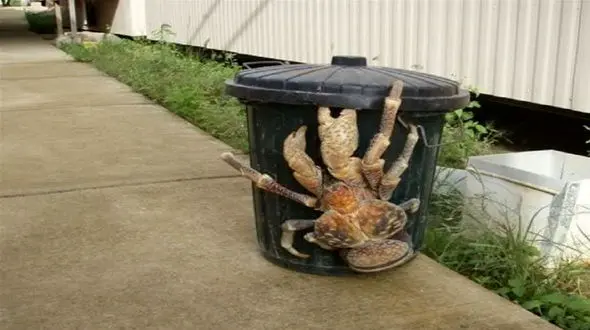 اندازه هایی بزرگتر از چیزی که می بینید + عکس 