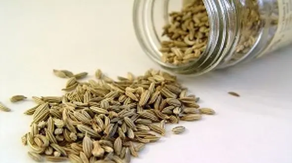 گیاهی که در لاغری معجزه می کند