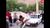 جابجایی یک خر و سه پراید به سبک مسابقه مردان آهنین! + فیلم