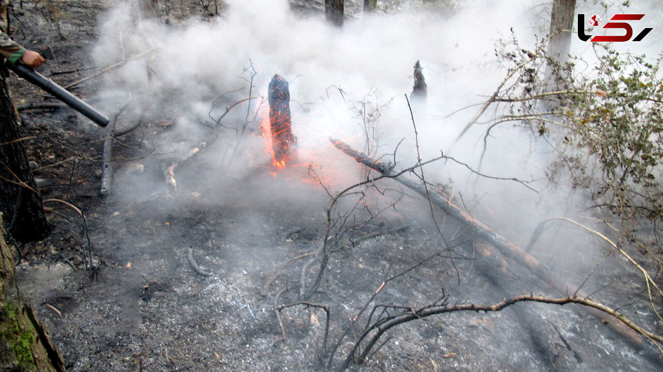 مهار نفسگیر آتش سوزی جنگل‌های کهگیلویه و بویراحمد