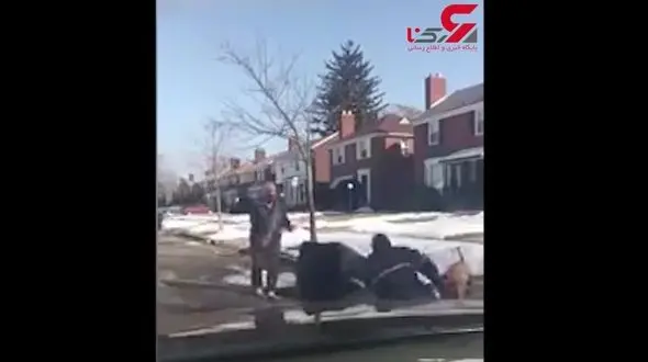 فیلم حمله هولناک سگ ولگرد به مرد جوان