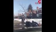 فیلم حمله هولناک سگ ولگرد به مرد جوان