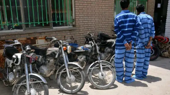 انهدام باند سارقان حرفه ای در شاهین دژ 