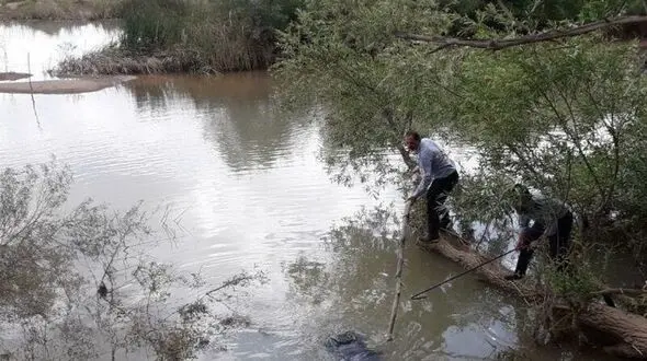 کوسه لار جان جوان 18 ساله میاندوآبی را گرفت