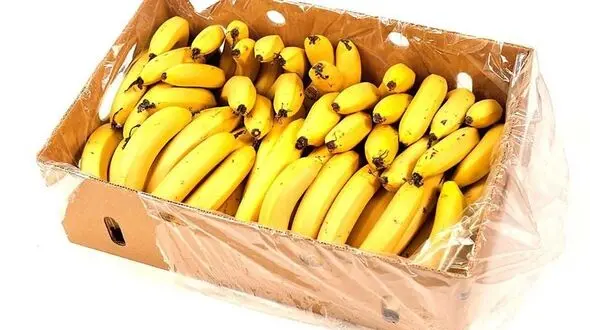 8 خوراکی مناسب بعد از خوردن غذای چرب