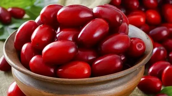 با این موادهای  غذایی به جنگ این سرطان زنانه بروید