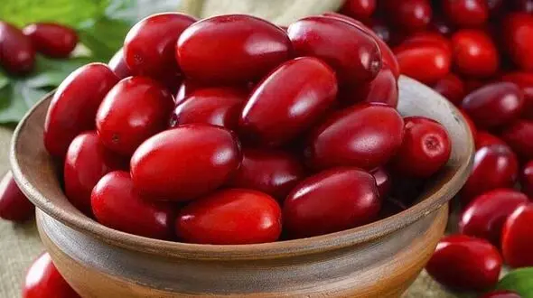 با این موادهای  غذایی به جنگ این سرطان زنانه بروید