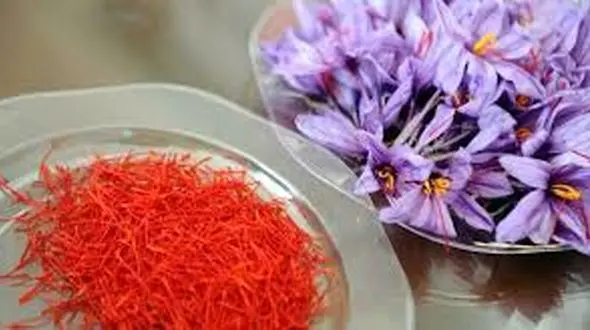 درآمد 115 میلیون دلاری با زعفران
