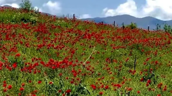 دو چهره از زیبایی ایران وصف ناپذیر