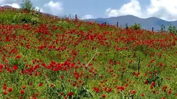 دو چهره از زیبایی ایران وصف ناپذیر
