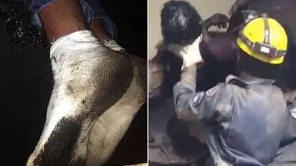 دزد بدشانس در لوله دودکش گیر کرد! + عکس لحظه حادثه