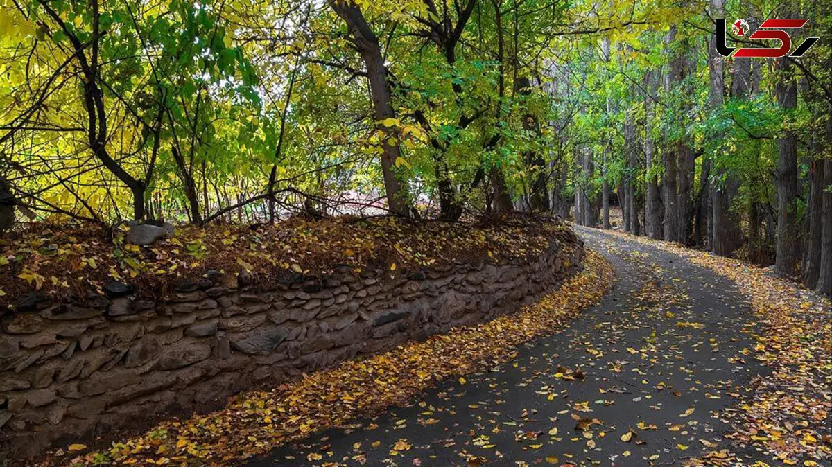 فال و طالع بینی امروز 9 آبان + فیلم 