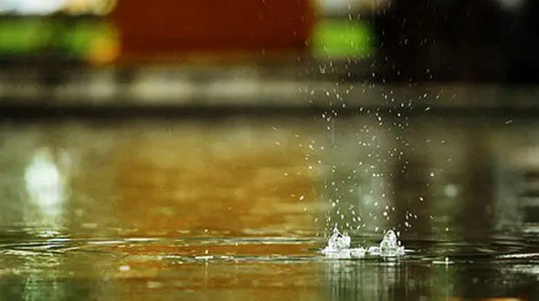 خبر ویژه / سیل به کرمان رسید + خطر مرگ با سلفی سیلی