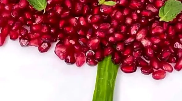 آیا دوشنبه بعد از شب یلدا تعطیل رسمی است؟