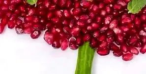 آیا دوشنبه بعد از شب یلدا تعطیل رسمی است؟