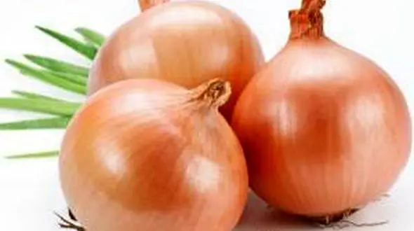 کاهش ۴۰ درصدی قیمت پیاز از هفته آینده / موز ارزان می شود