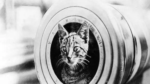 عجیب ترین اتفاقات تاریخی چیست؟ + عکس