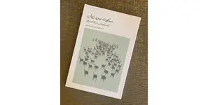 گفت‌‌ و گو درباره گفت‌ و گو 