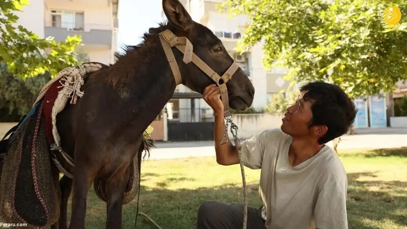 کوتارو گردشگر ژاپنی 