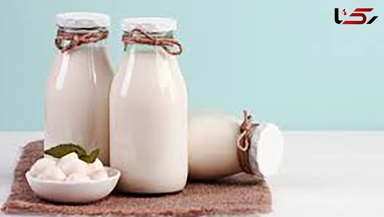 تولید روزانه ۲۰۰ تن شیر در شرکت کشت و صنعت و دامپروری مغان