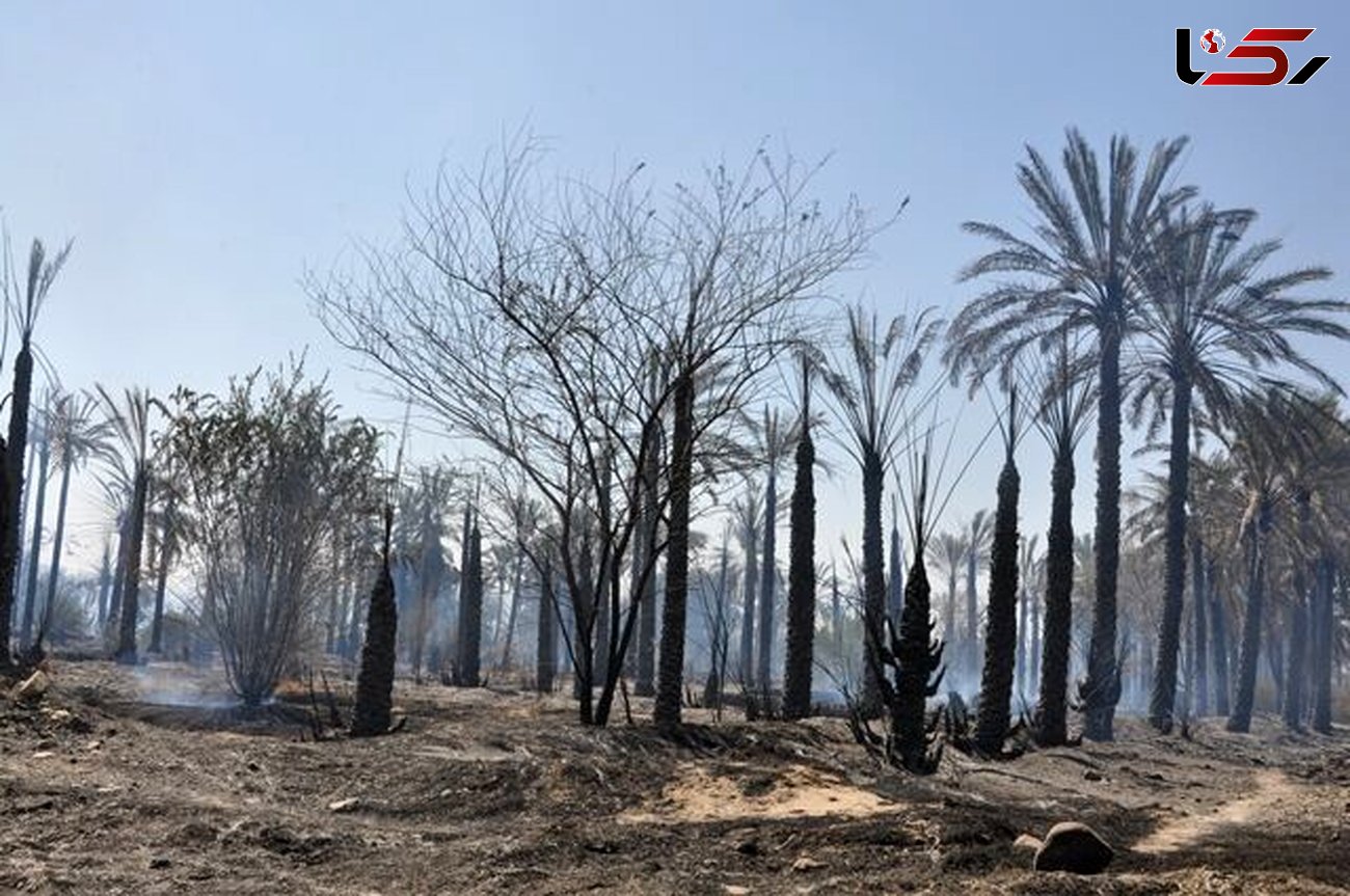 پنج هکتار از باغ های کهنوج کرمان در آتش سوخت