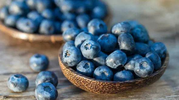 تاثیر شگفت انگیز «بلوبری» در افزایش توجه کودکان 