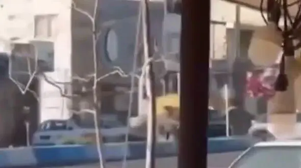 فیلم حمله عجیب لودر به سانتافه در شهرستان نور