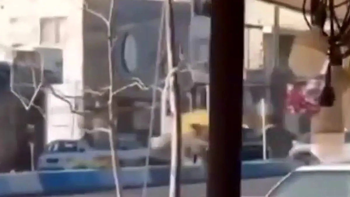 فیلم حمله عجیب لودر به سانتافه در شهرستان نور