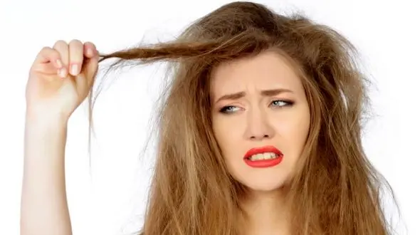چرا موهای تان چرب می شود؟