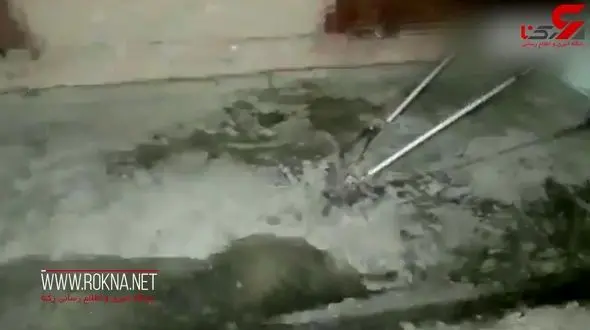 وحشتناکترین بسته پستی که مرد هندی را شوکه کرد! + فیلم