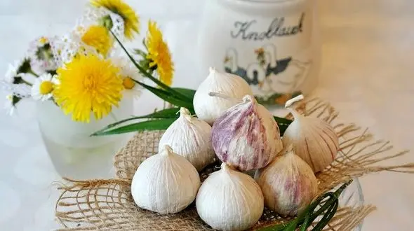 با سیر درمانی بیماری ها را شکست دهید