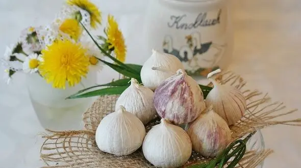 با سیر درمانی بیماری ها را شکست دهید