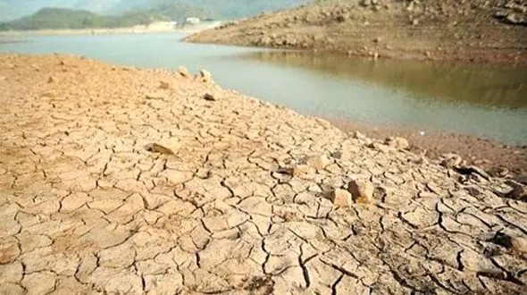 برنج کاری غیرقانونی در لرستان / نابودی مزارع و رودخانه ها در خشکسالی + فیلم