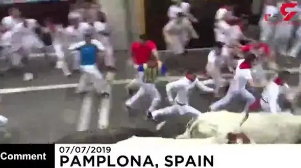 افتتاحیه فستیوال گاوبازی/ ۵ نفر مصدوم شدند + فیلم