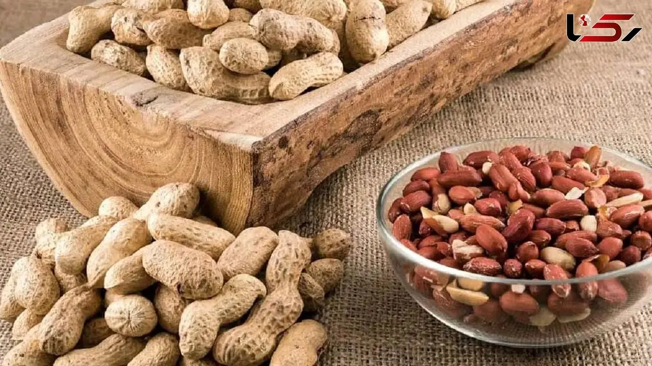 چگونه با یک مغز خوشمزه پیری را به تاخیر بیندازیم؟