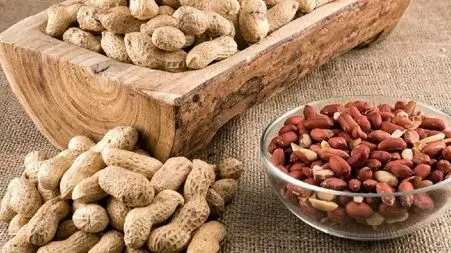 چگونه با یک مغز خوشمزه پیری را به تاخیر بیندازیم؟