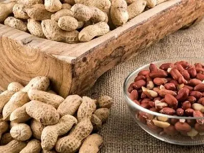 چگونه با یک مغز خوشمزه پیری را به تاخیر بیندازیم؟