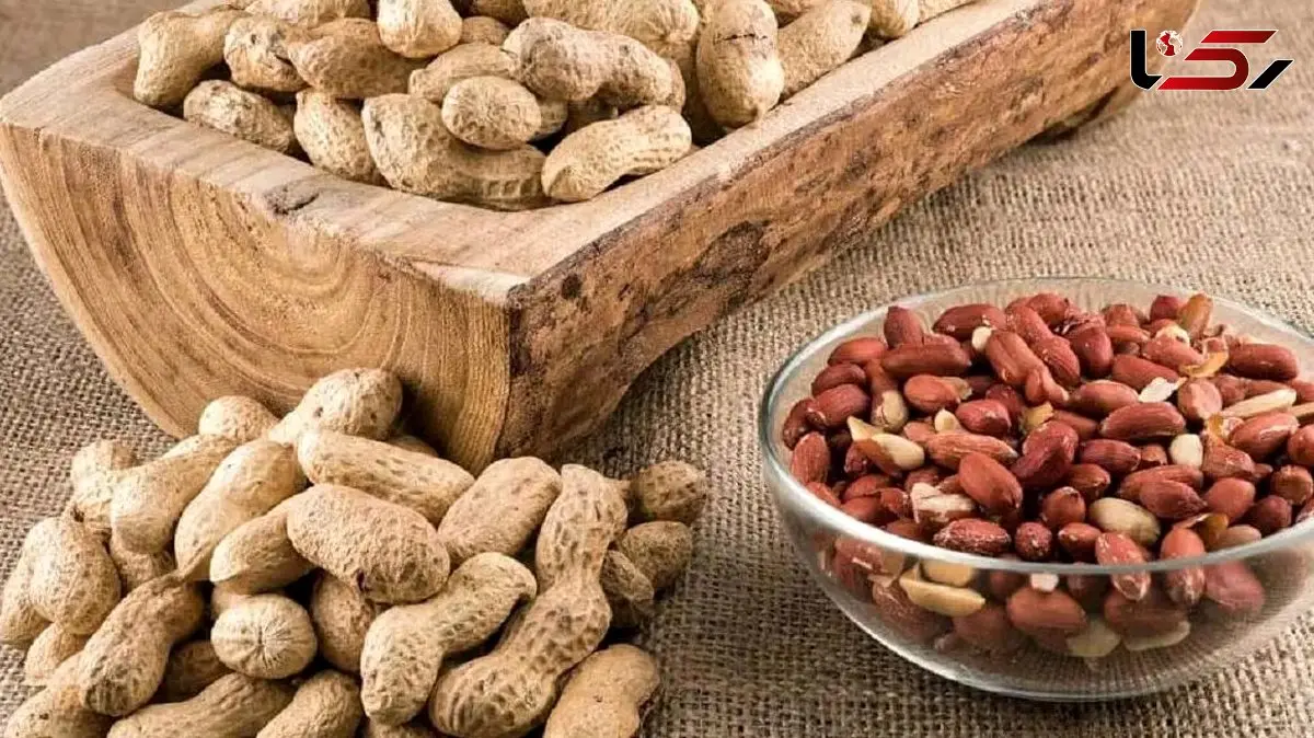 چگونه با یک مغز خوشمزه پیری را به تاخیر بیندازیم؟