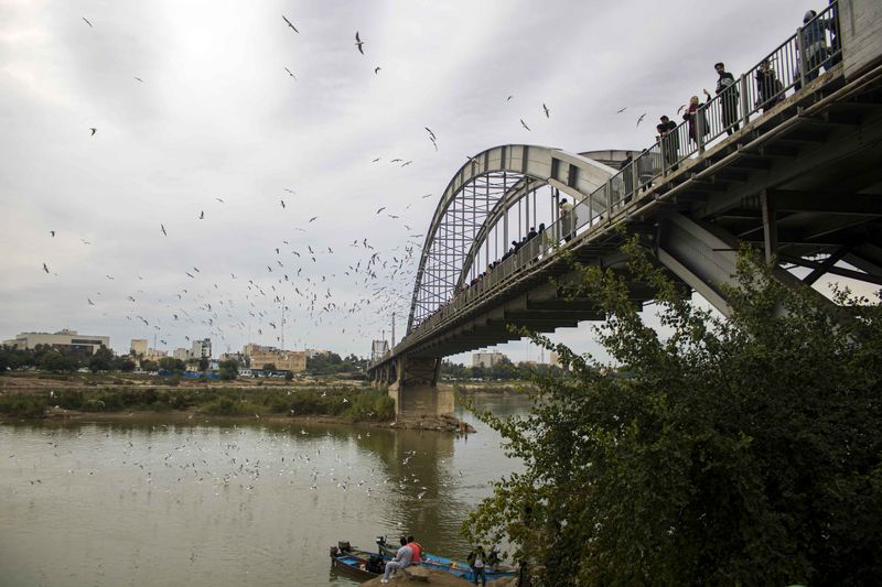 پرندگان مهاجر خوزستان