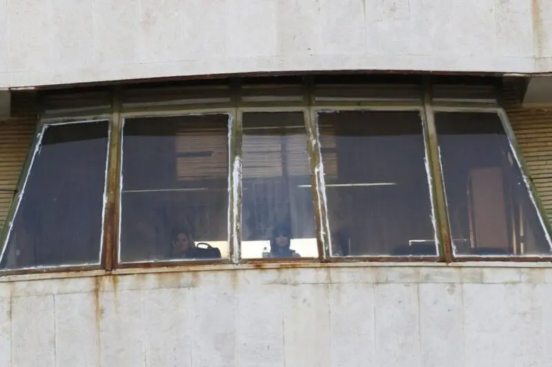 محبی